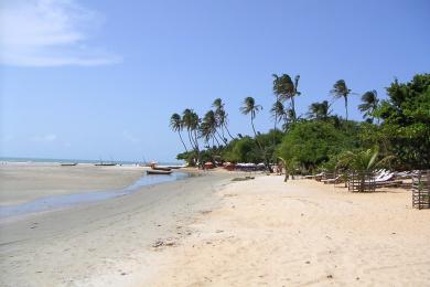 Sandee Jericoacoara Beach