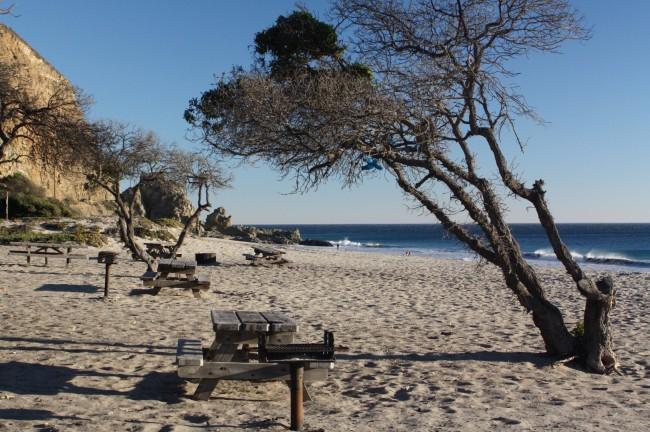 Sandee - Sycamore Cove Beach