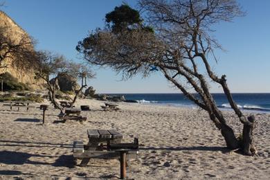 Sandee - Sycamore Cove Beach