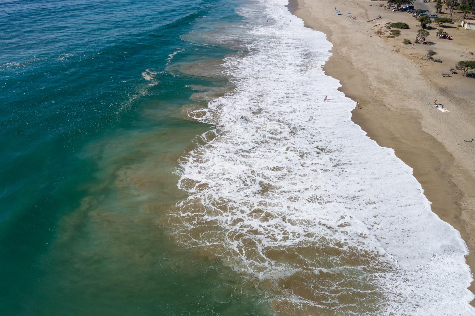 Sandee - Sycamore Cove Beach