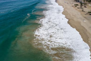 Sandee - Sycamore Cove Beach