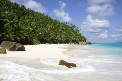 Sandee - Country / Fregate Island