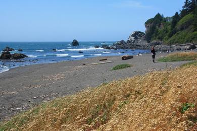 Sandee - Wilson Creek Beach