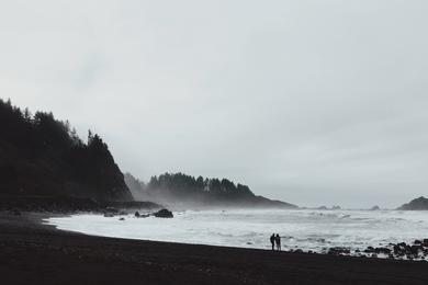 Sandee - Wilson Creek Beach