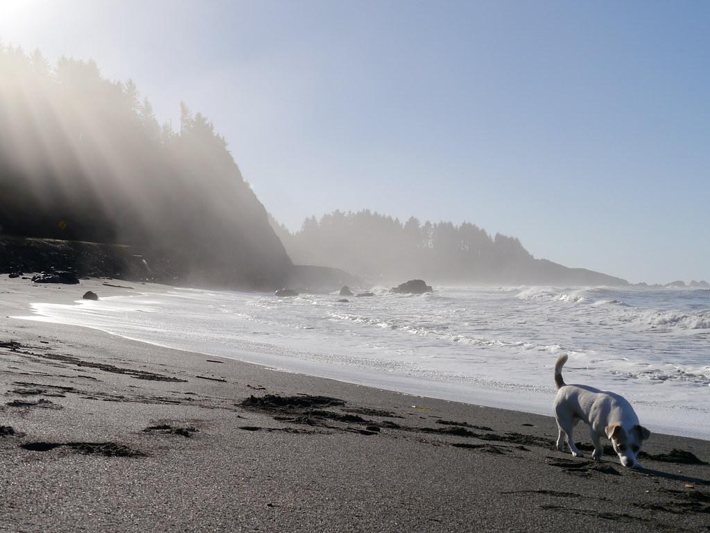 Sandee - Wilson Creek Beach