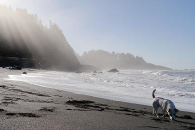 Sandee Wilson Creek Beach Photo