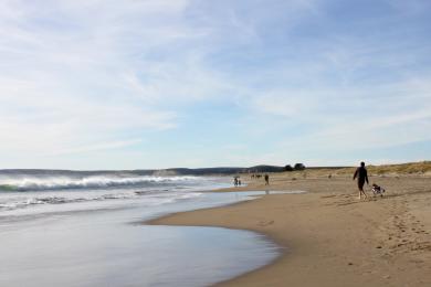 Sandee Limantour Beach