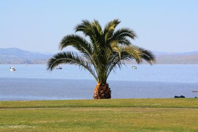 Sandee - Mcnears Beach Park