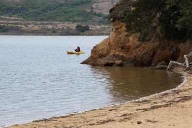 Sandee - Shell Beach