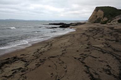 Sandee Sculptured Beach Photo