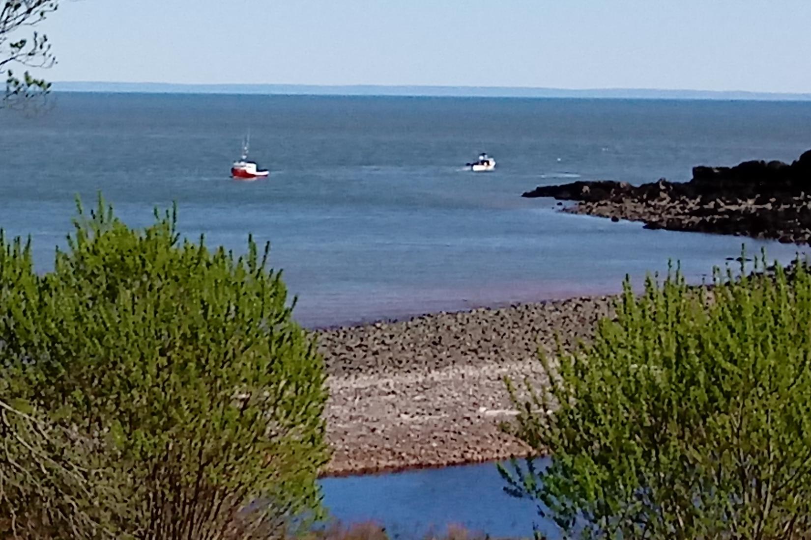 Sandee - Wallace Beach