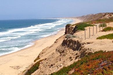 Sandee - Fort Ord Dunes State Beach