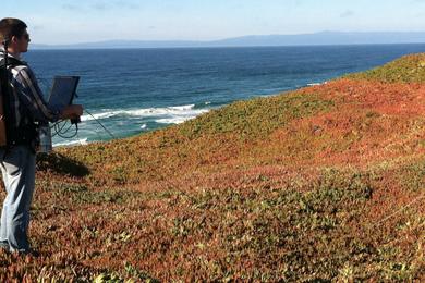 Sandee - Fort Ord Dunes State Beach