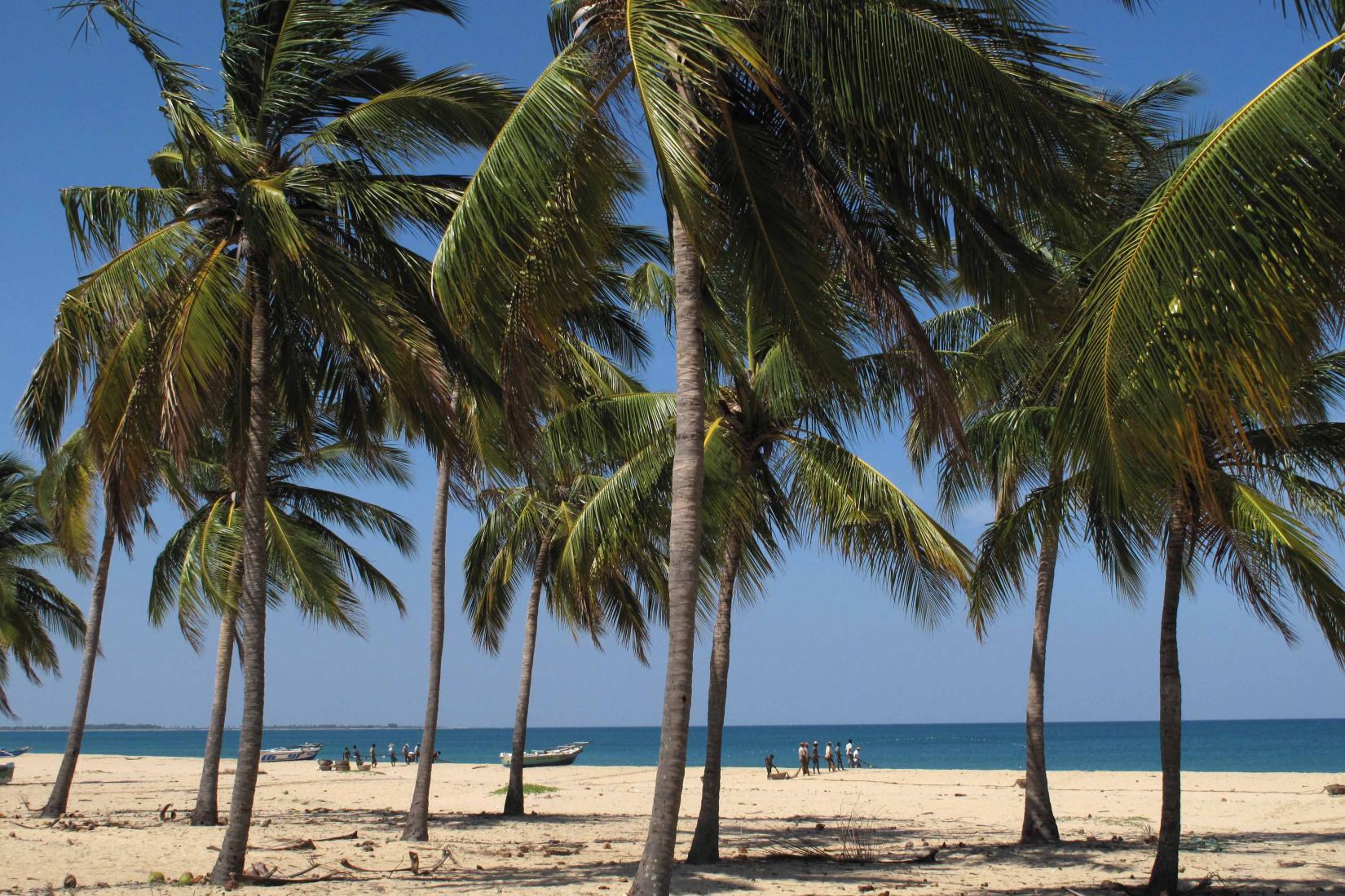 Sandee - Kalkudah Beach