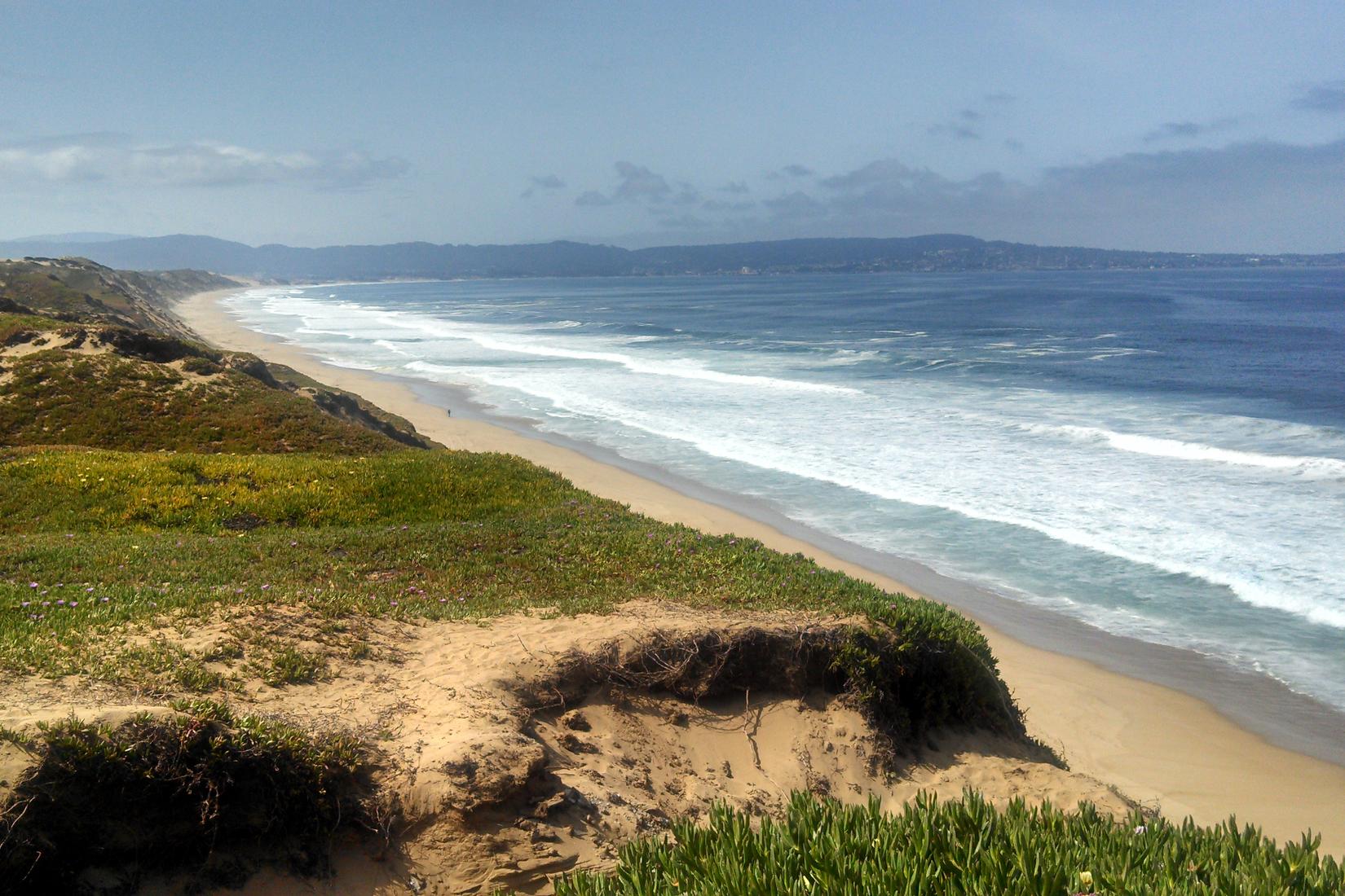 Sandee - Fort Ord Dunes State Beach