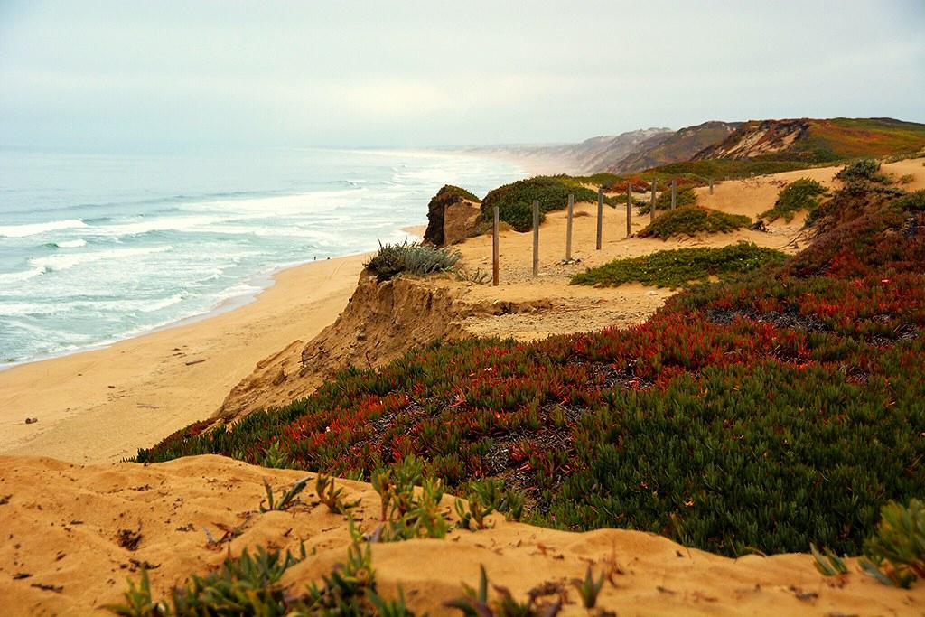 Sandee Fort Ord Dunes State Beach Photo