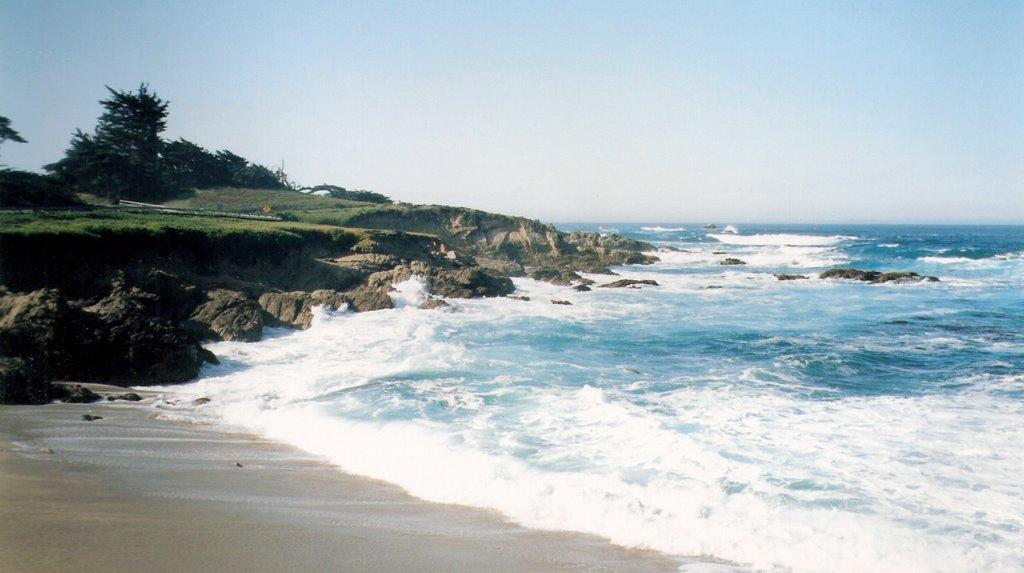 Sandee - Fanshell Beach