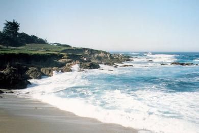 Sandee - Fanshell Beach