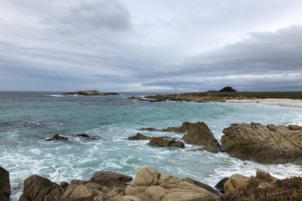 Sandee Fanshell Beach Photo