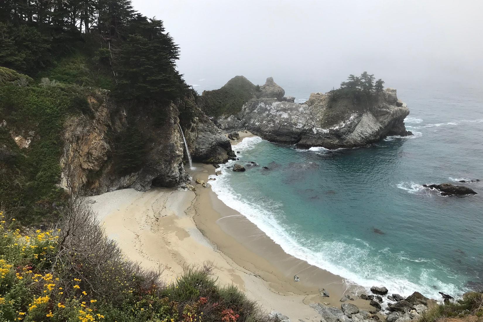 Sandee - Julia Pfeiffer Burns State Park