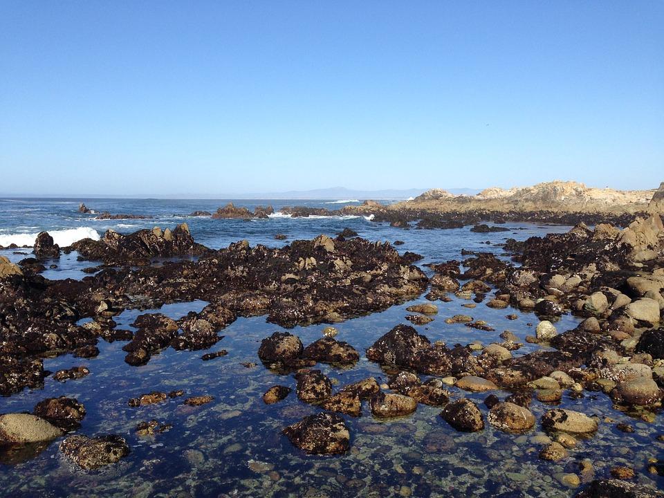 Sandee - Lover's Point Park Beach