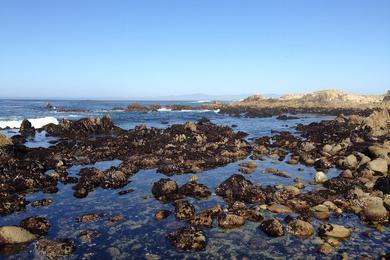 Sandee - Lover's Point Park Beach