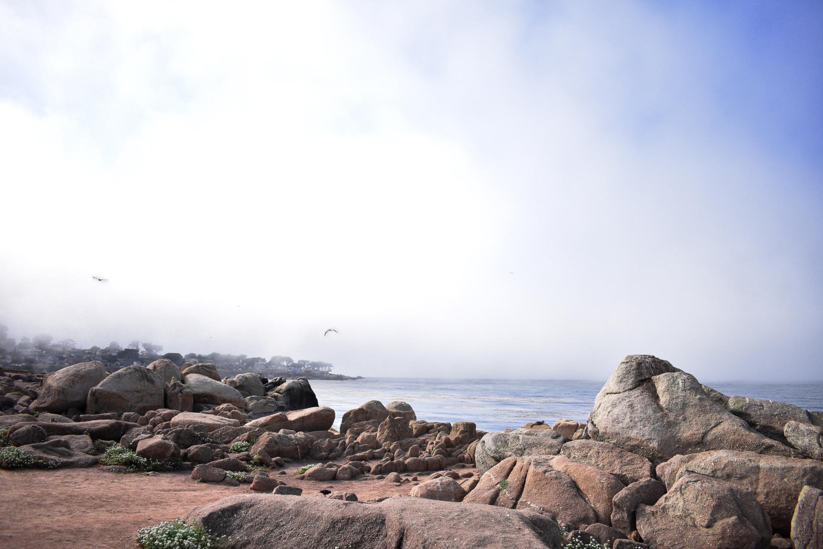 Sandee - Lover's Point Park Beach