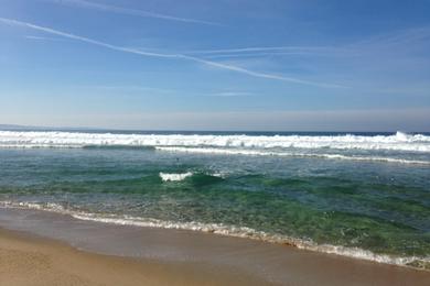 Sandee - Marina State Beach