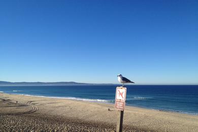 Sandee - Marina State Beach