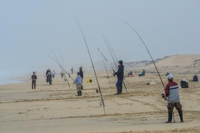 Sandee - Marina State Beach