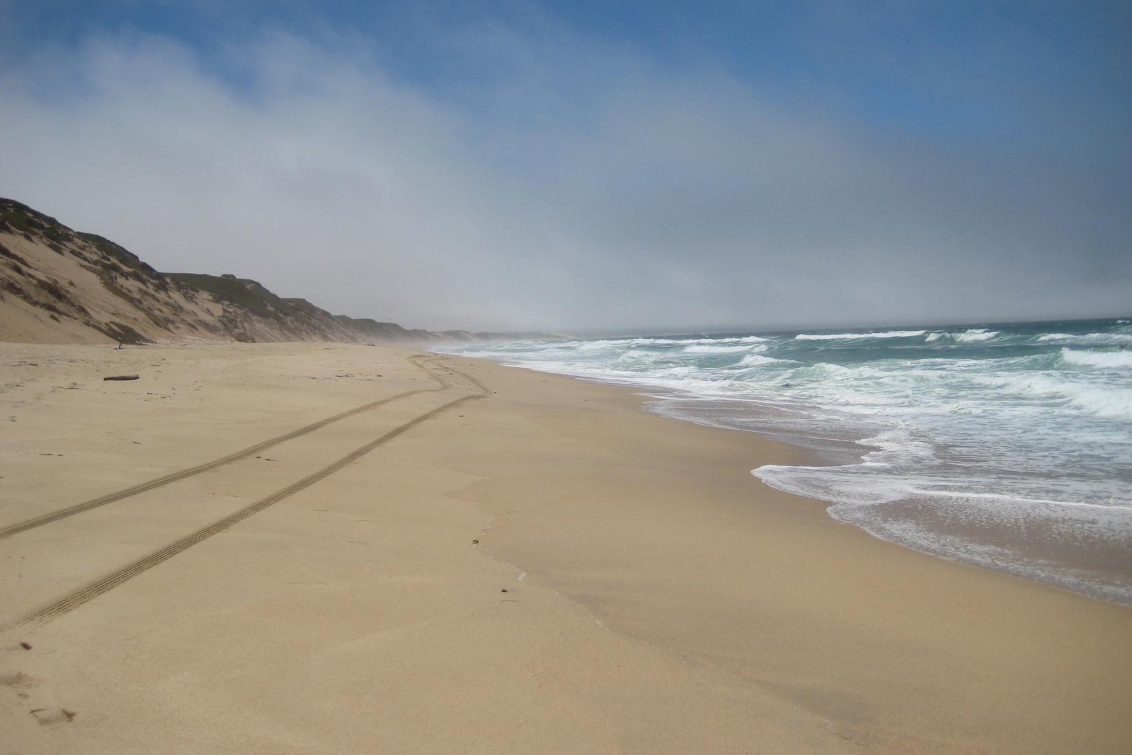 Sandee - Marina State Beach