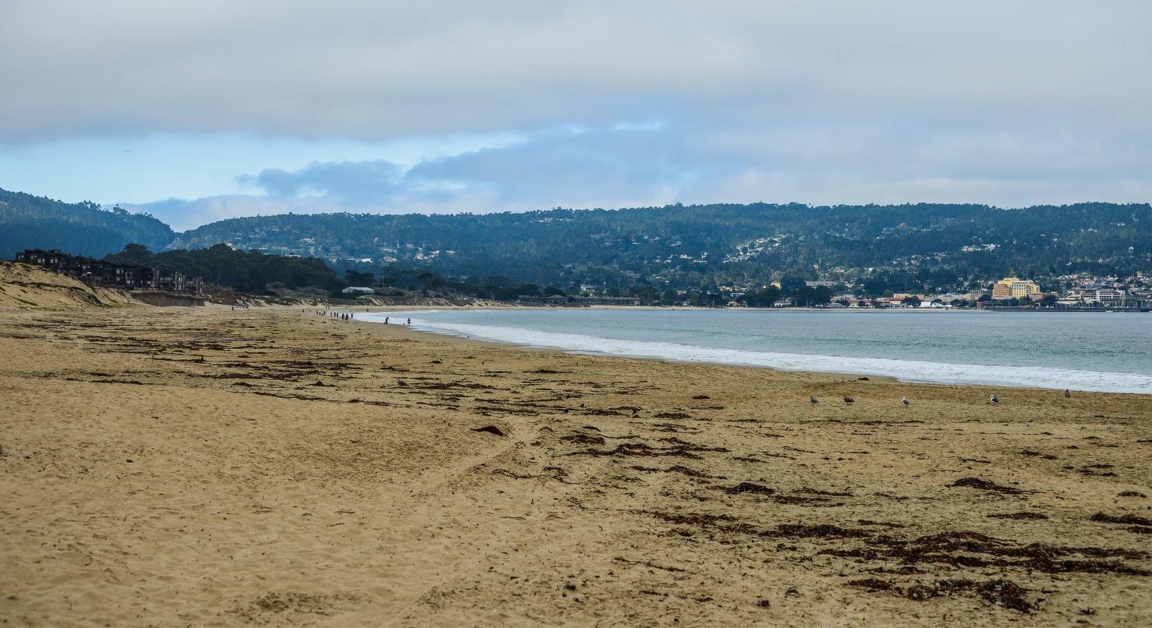 Sandee - Monterey State Beach - Seaside Beach