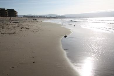 Sandee - Monterey State Beach - Seaside Beach