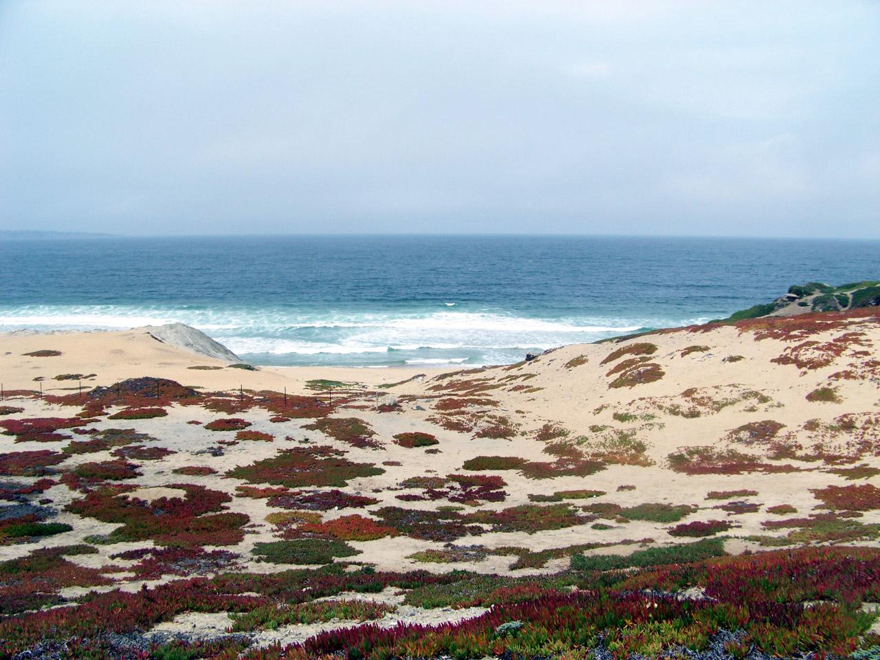 Sandee - Monterey State Beach - Seaside Beach