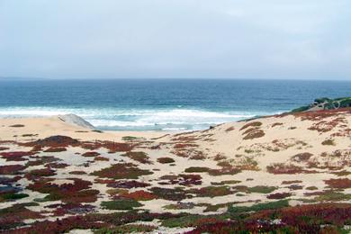 Sandee Monterey State Beach - Seaside Beach