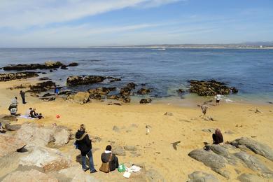 Sandee - Monterey State Beach - Seaside Beach