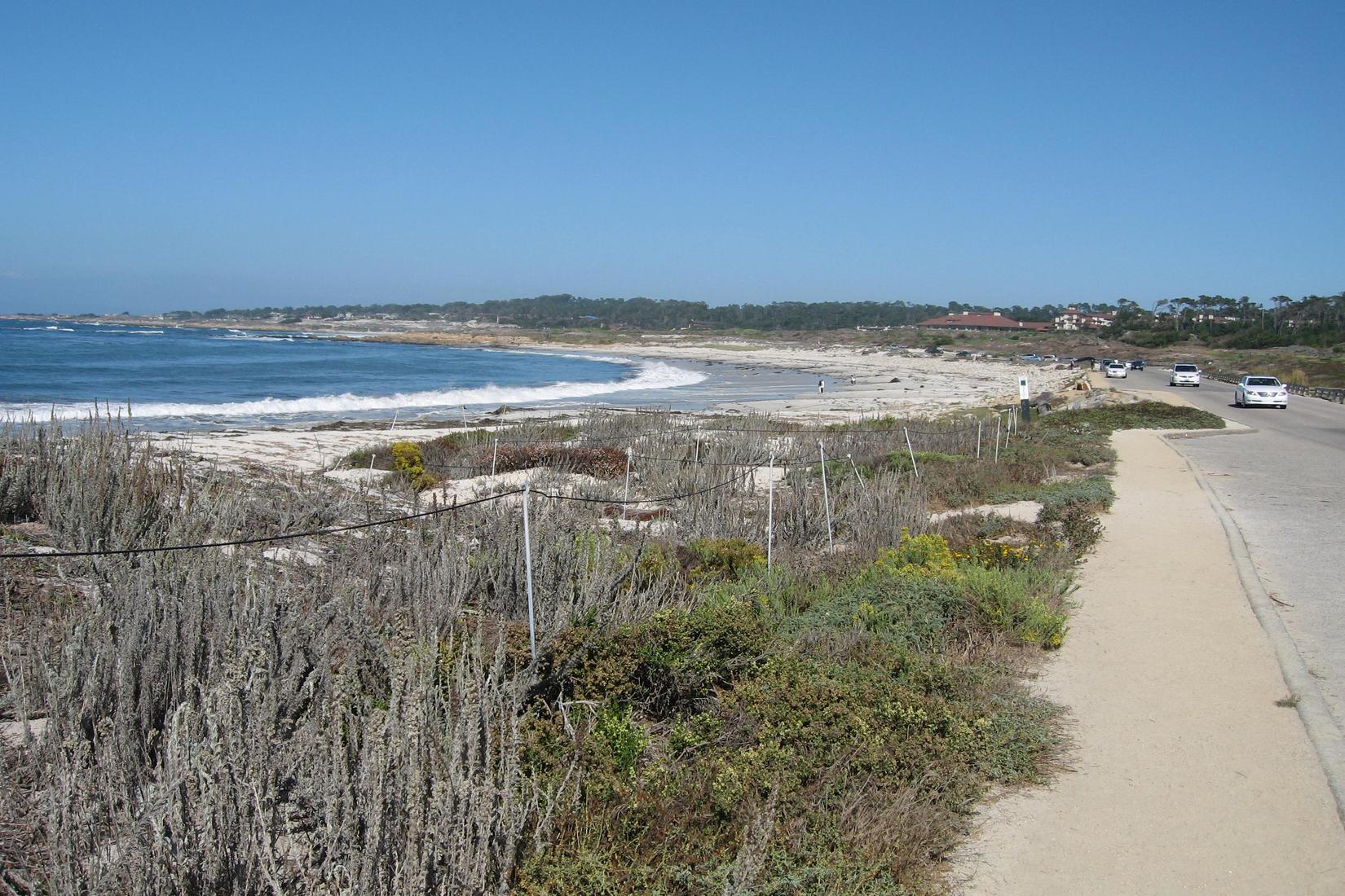 Sandee - Moss Beach