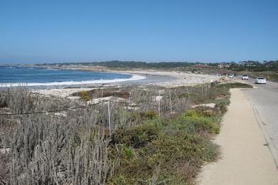 Sandee - Moss Beach