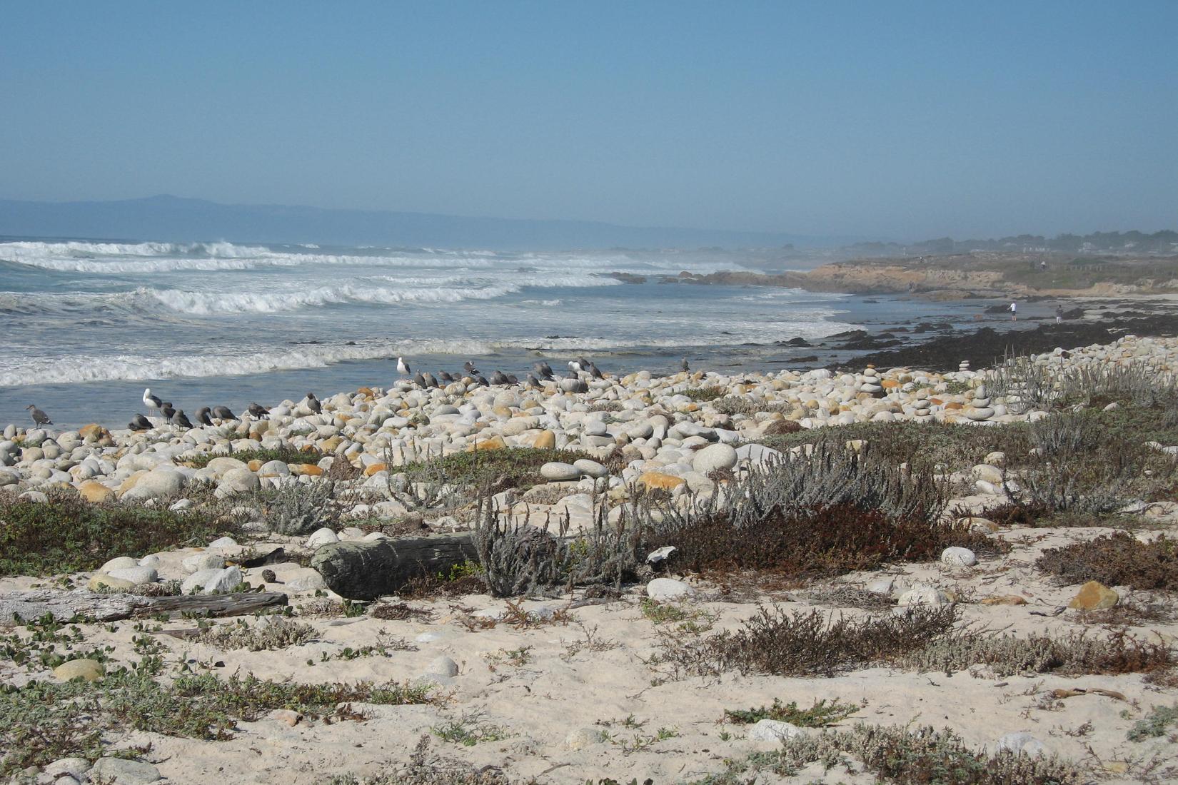 Sandee - Moss Beach