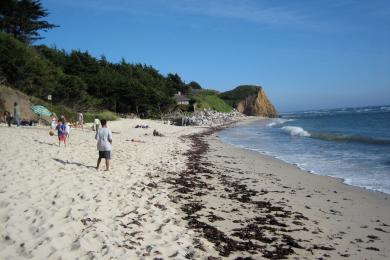Sandee Moss Beach