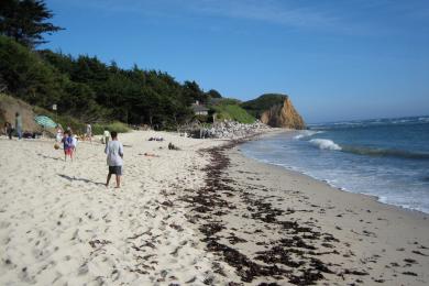 Sandee Moss Beach Photo