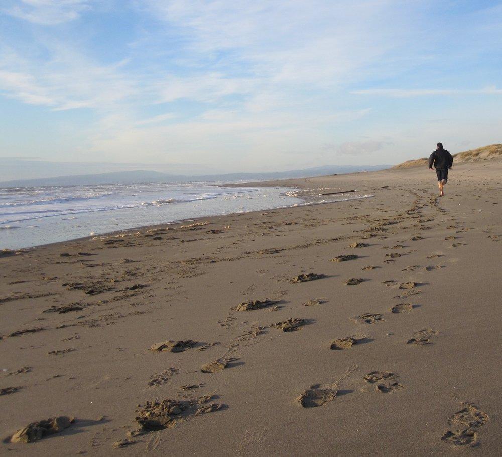 Sandee - Moss Landing State Beach