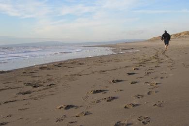 Sandee - Moss Landing State Beach