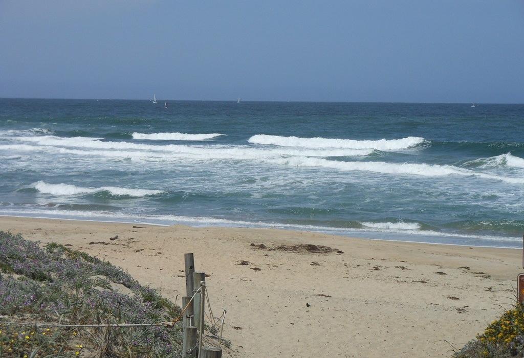 Sandee Moss Landing State Beach Photo