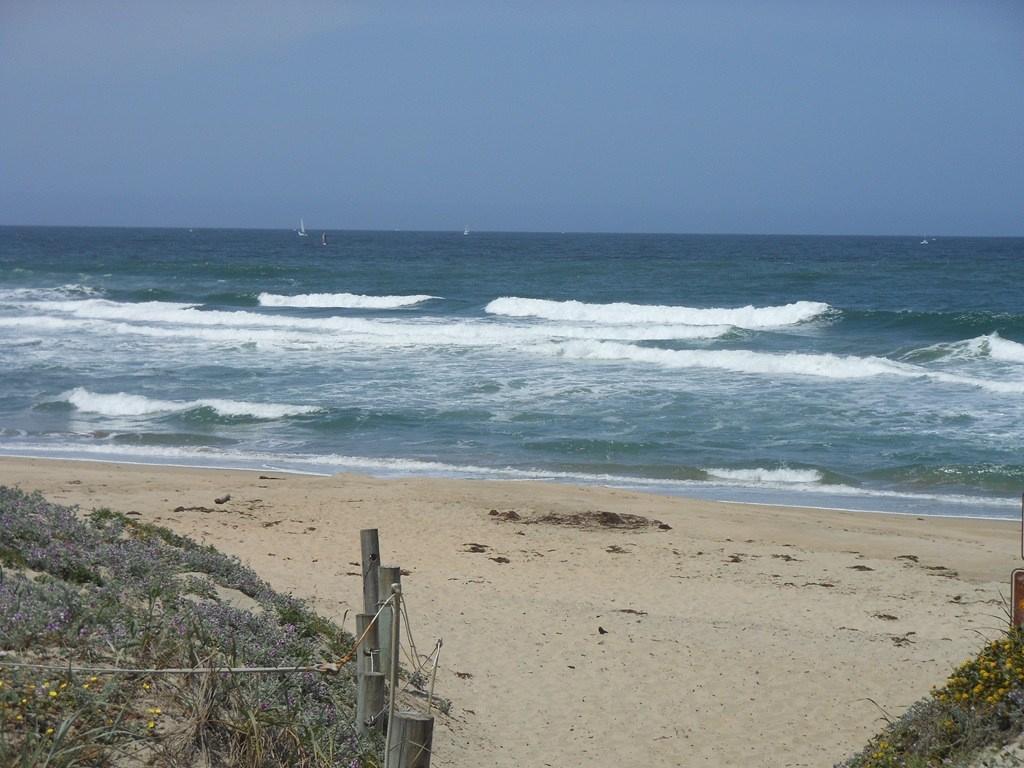 Sandee - Moss Landing State Beach