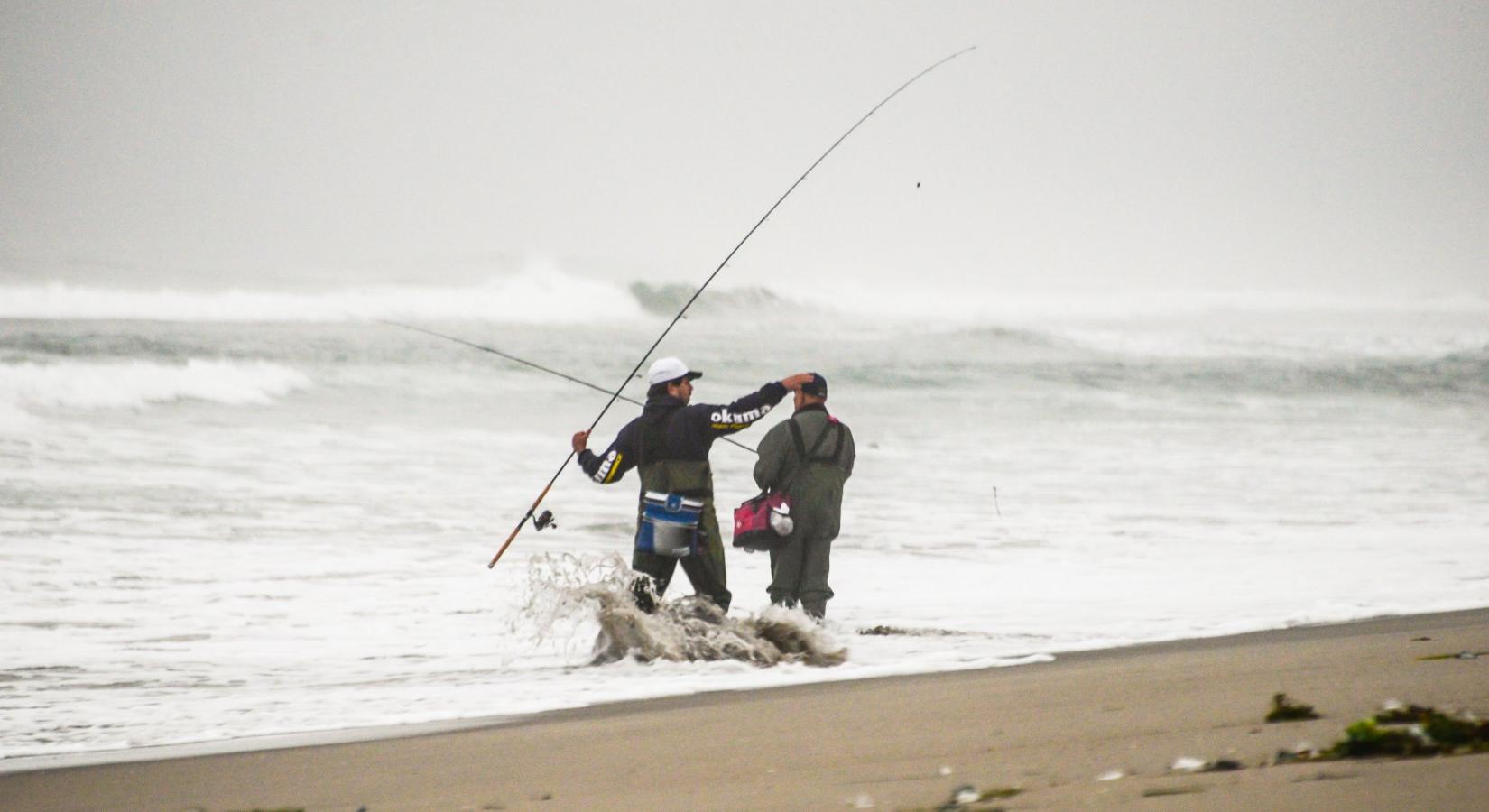 Sandee - Moss Landing State Beach