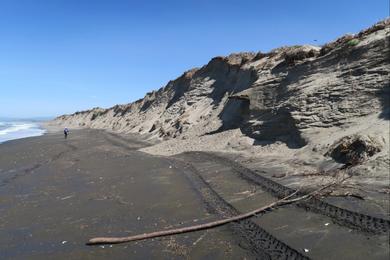 Sandee - Moss Landing State Beach