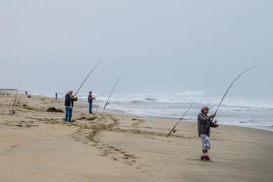 Sandee - Salinas River State Beach - Monterey Dunes Entrance