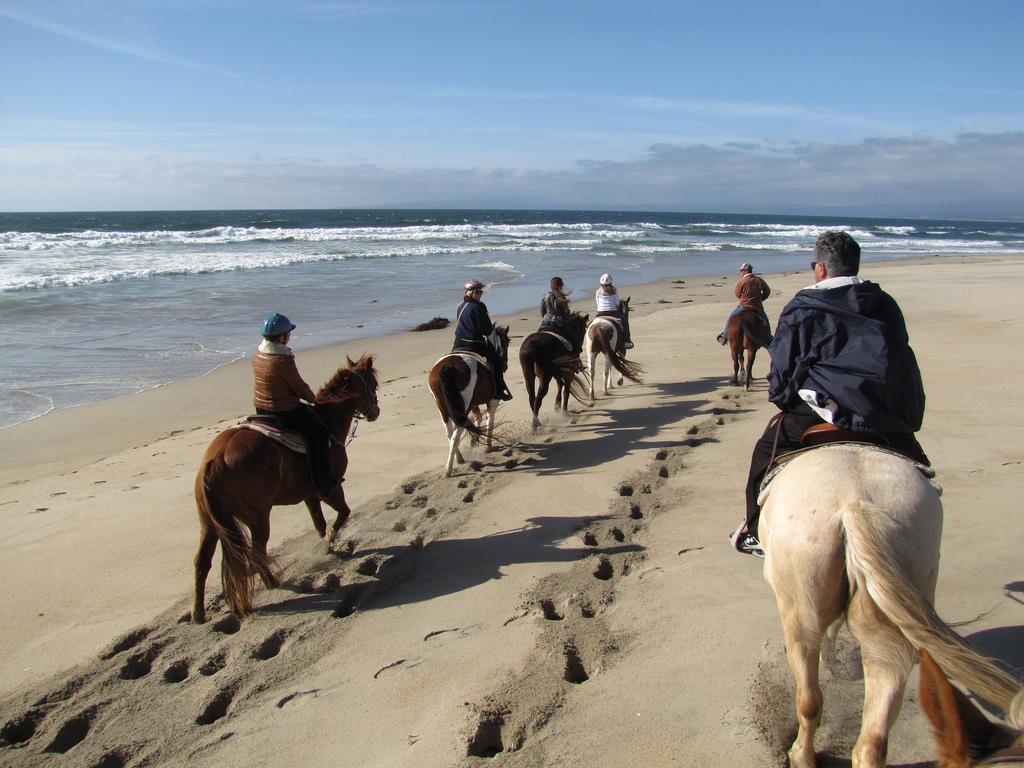 Sandee - Salinas River State Beach - Monterey Dunes Entrance