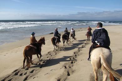 Sandee - Salinas River State Beach - Monterey Dunes Entrance